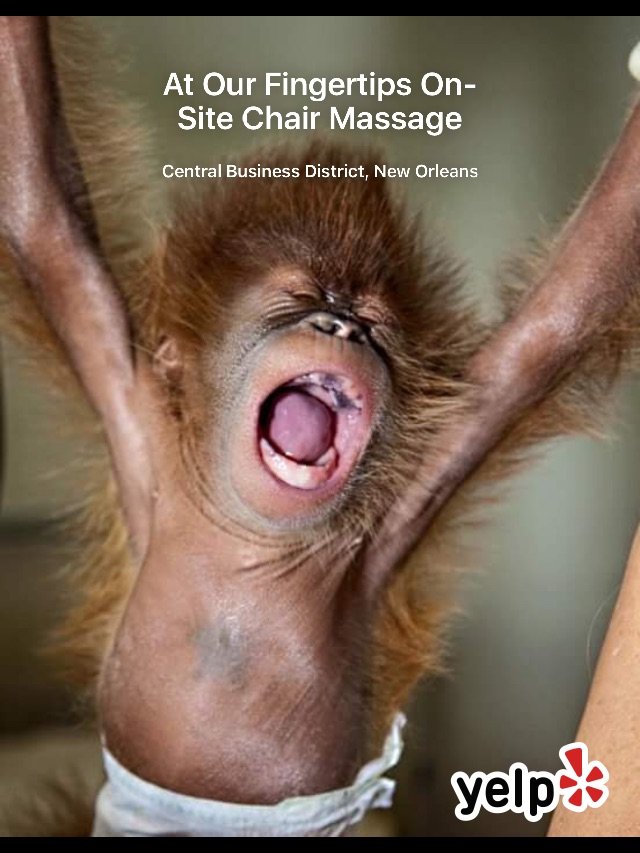 tjgourmet's tweet photo. Got my massage therapy going on today. WAHOO! Feeling good! (@ At Our Fingertips On-Site Chair Massage) https://t.co/URzjNBCzy5 https://t.co/ejfAMb8kz2