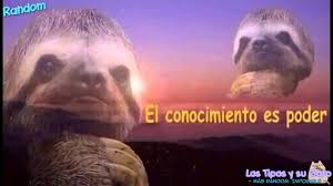 Evanopili2's tweet photo. @AlbaCisneNegro https://t.co/FBgaPRuxVi