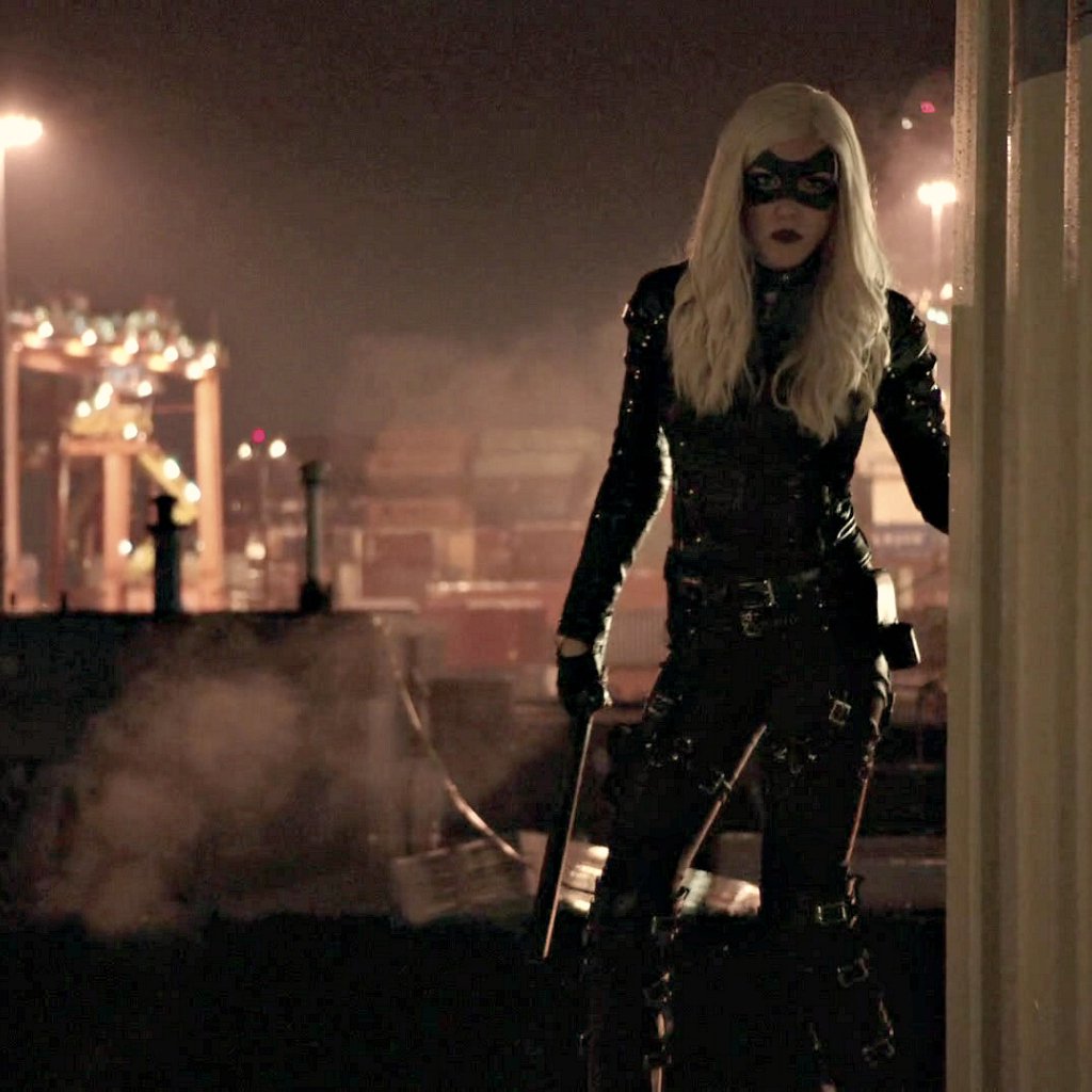 lucilam12's tweet photo. @CW_Arrow  @GBerlanti @mguggenheim @MericlesHappen  @ARROWwriters @TheCW @AJKreisberg @geoffjohns No Laurel No Canary https://t.co/RElWVzepVt