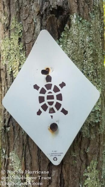 trailjournals's tweet photo. "Trail Buddy, Follow the #Turtle" 
#Trailmarker on #SheltoweeTraceTrail #Sheltowee means Big Turtle for #DanielBoone
https://t.co/NftcNvG9Bn https://t.co/kxeM2acFIo