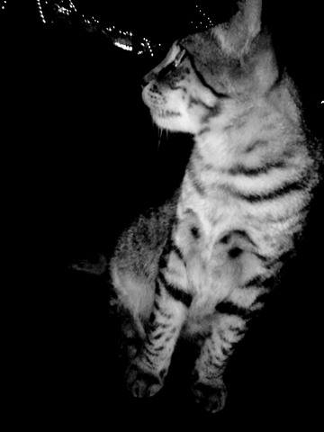 willpains's tweet photo. Grr *-* ♥ https://t.co/S4XfufvxUK
