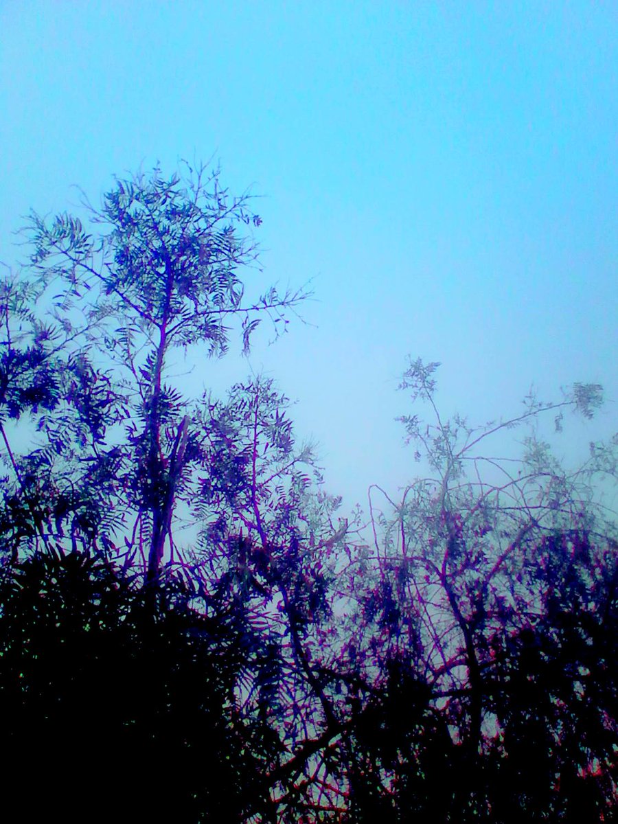 willpains's tweet photo. Sky  Blue ♥ https://t.co/XQ66tcqKDA