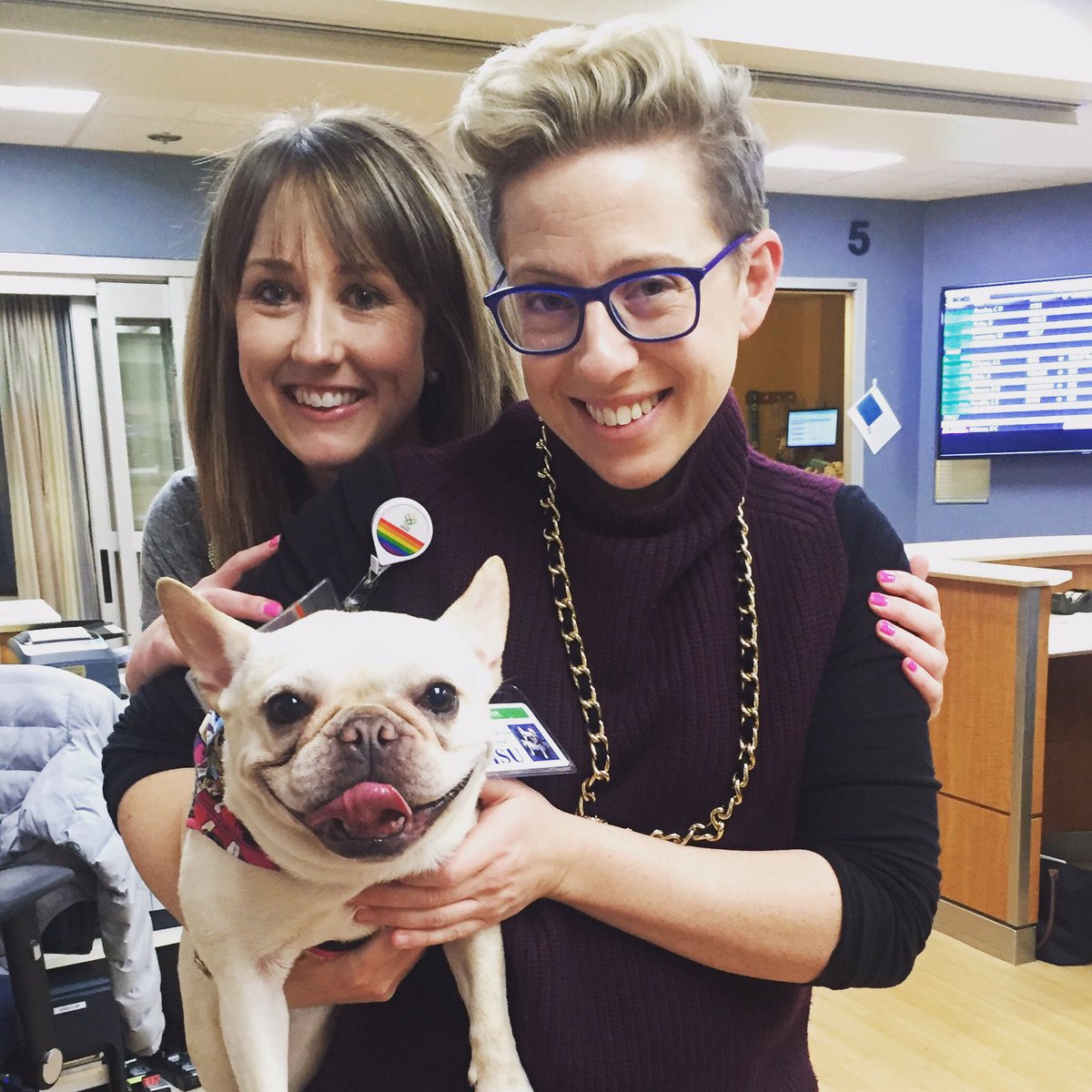 HollyEHinson's tweet image. Best day of my career? #frenchie #therapyfrenchie #frenchieproblems