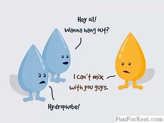 luisap_chem's tweet photo. Oil has a lower density than water, so it always floats on top  #panacekchem1b @mrspanacek https://t.co/MEjgcbzhda