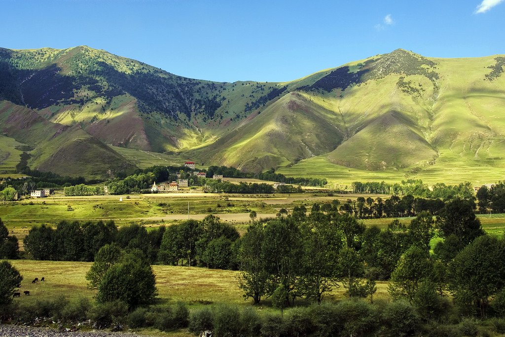 singinghilo tweet picture