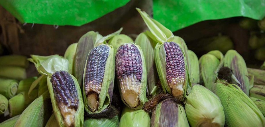 El culto a la gastronomía en La Merced. Una experiencia por parte de <a href="/ClubTravesias/">Club Travesías</a> #ClubTravesías ow.ly/8rrZ308m7TY