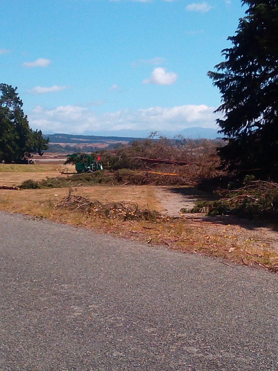 nbpsolutions's tweet image. 