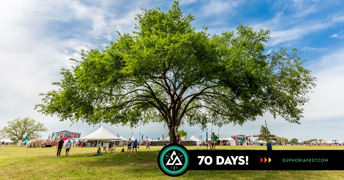 Euphoria tweet media