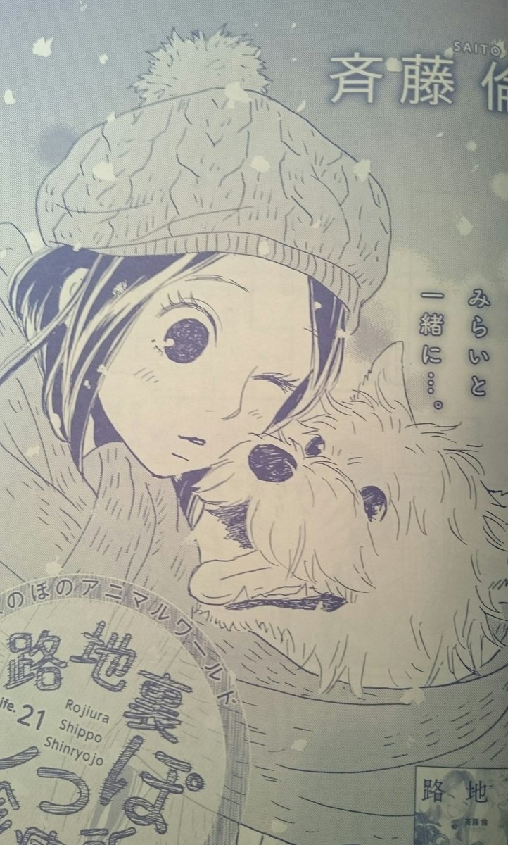 斉藤倫 ノーにゃんこ 巻12 24発売 今日1 26発売の Cookie 3月号 に 路地裏しっぽ診療所 Life 21 掲載中です 連載始める前からずっといつか描きたいと思ってたスコティッシュフォールドの遺伝病問題に 挑みます 伝えられますように 読んで