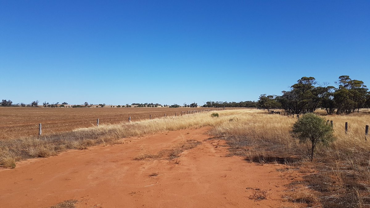 michaelbockholt's tweet image. Home straight at #Patchewollock racecourse #firm