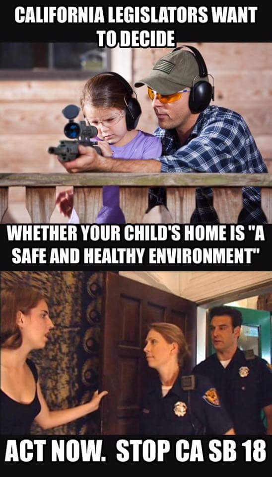 billyboblee310's tweet photo. .@SamdraWilliams .@CarlyTwiss https://t.co/FSLgcz1H0w NO #sb18 #ParentsKnowBest #ParentsNOTtheState https://t.co/LuH1JHHQHV