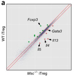 mmw_lmw's tweet photo. #Musculin promotes Development of Peripheral #Treg by suppressing #TH2 Fate | Wu & Kuchroo @harvardmed @NatImmunol https://t.co/yG2nV7bH1v https://t.co/kYmmqL1UeR