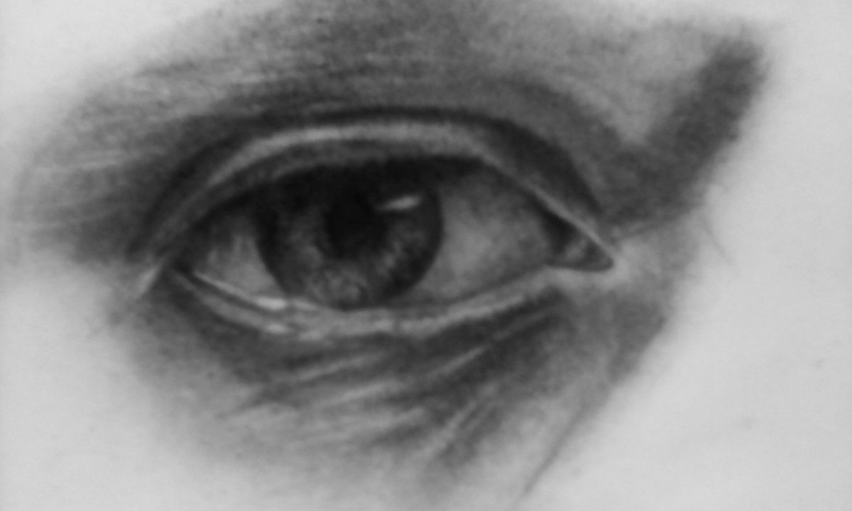 wley_fields's tweet image. Arte