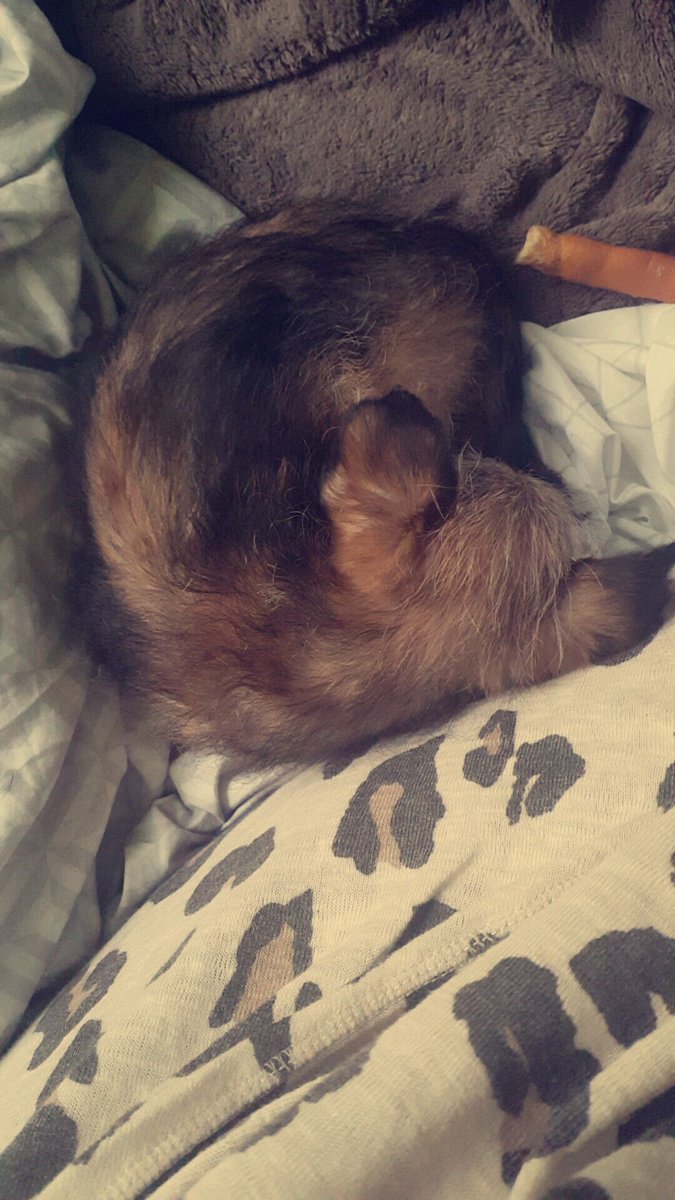 DebraMerrick's tweet image. 