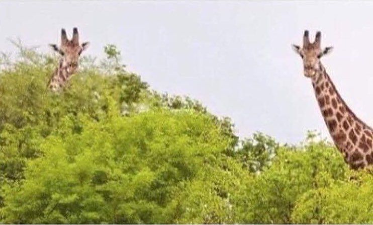 Stoic Reflections tweet media