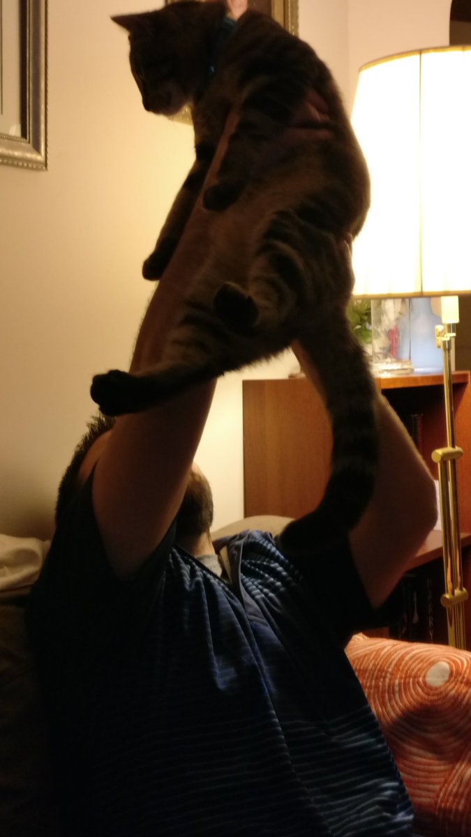 klombo120's tweet photo. #RAISETHECAT https://t.co/PVKBlDOQlB