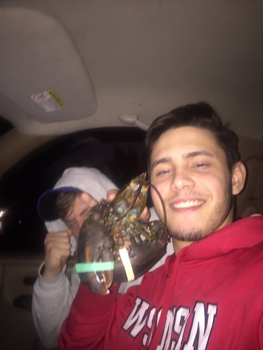 HanktheTank007's tweet photo. I bet Tyler $75 he wouldn't steal a lobster from red lobster https://t.co/rMDgyMMwoG