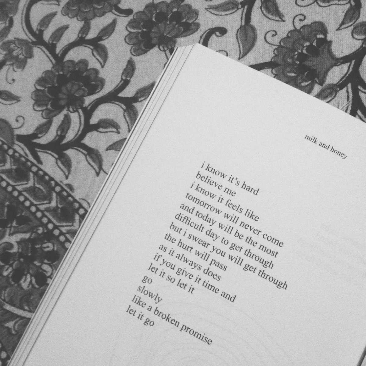 #bellletstalk #rupikaur #milkandhoney