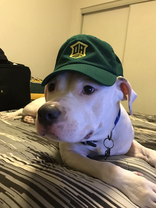 Watch Davante Adams's leaked NSFW photo on TwXstars