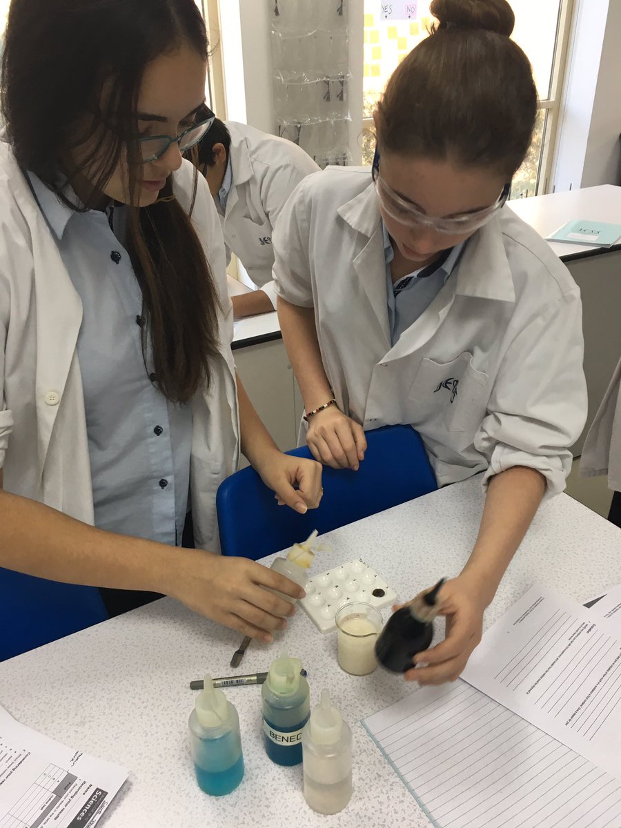 lindsaywilgrove's tweet photo. Year 9 GCSE Bio learning key observational skills testing foods. #JESSProblemSolving #JESSEnquiry #JESSQuestioning @JESSScienceDept https://t.co/6t42bfb3Za