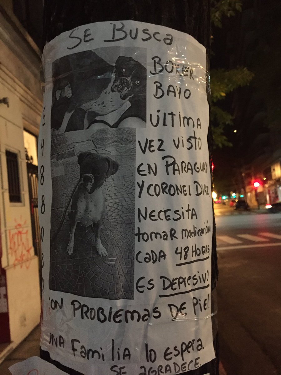 yoanamarlenn's tweet photo. Chicos podrian darle rt? Barrio alto Palermo. 😩 gracias ! https://t.co/1XWXex8p8s