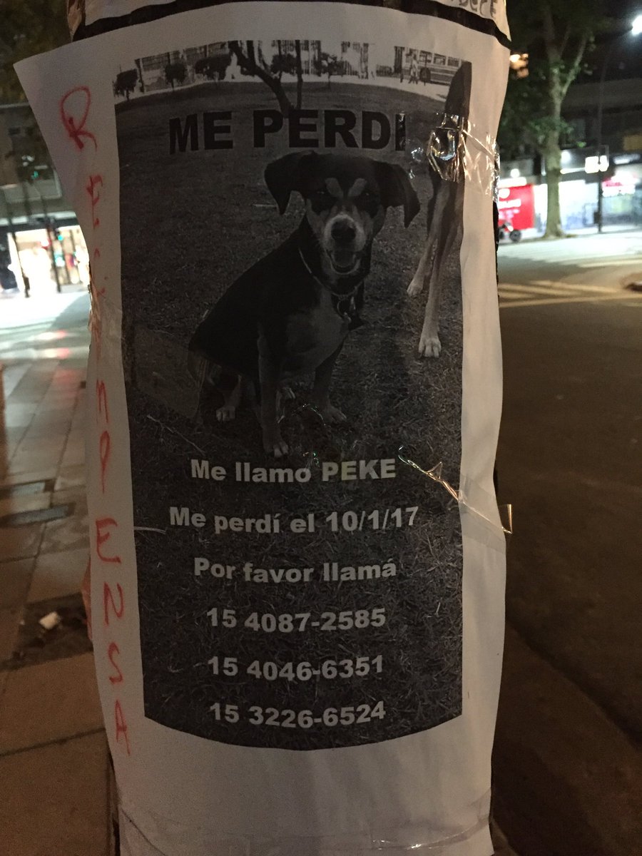 yoanamarlenn's tweet photo. Chicos podrian darle rt? Barrio alto Palermo. 😩 gracias ! https://t.co/1XWXex8p8s