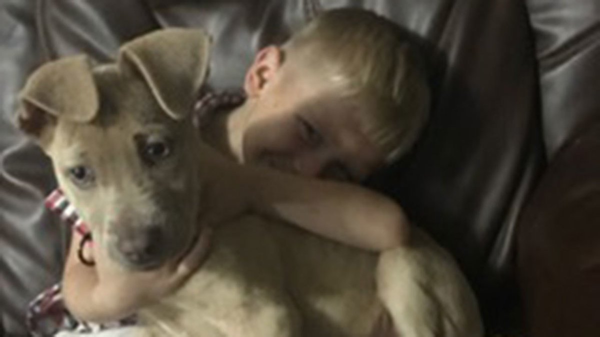 SealsSquad's tweet photo. Missing puppy returned home after Pearland family issued plea
https://t.co/OP3jnFtFbb https://t.co/QERqoVDDRV