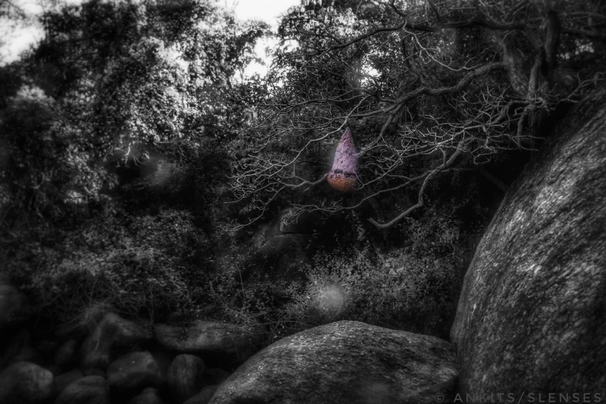 sattaiyer's tweet photo. #OnceIWasaBeehive @TheSickDrawings @RadAbandonedPix @abandoned_pic @abandoned_pics @abandonedspaces @ABAND0NEDPLACES https://t.co/LfizYvfGWM