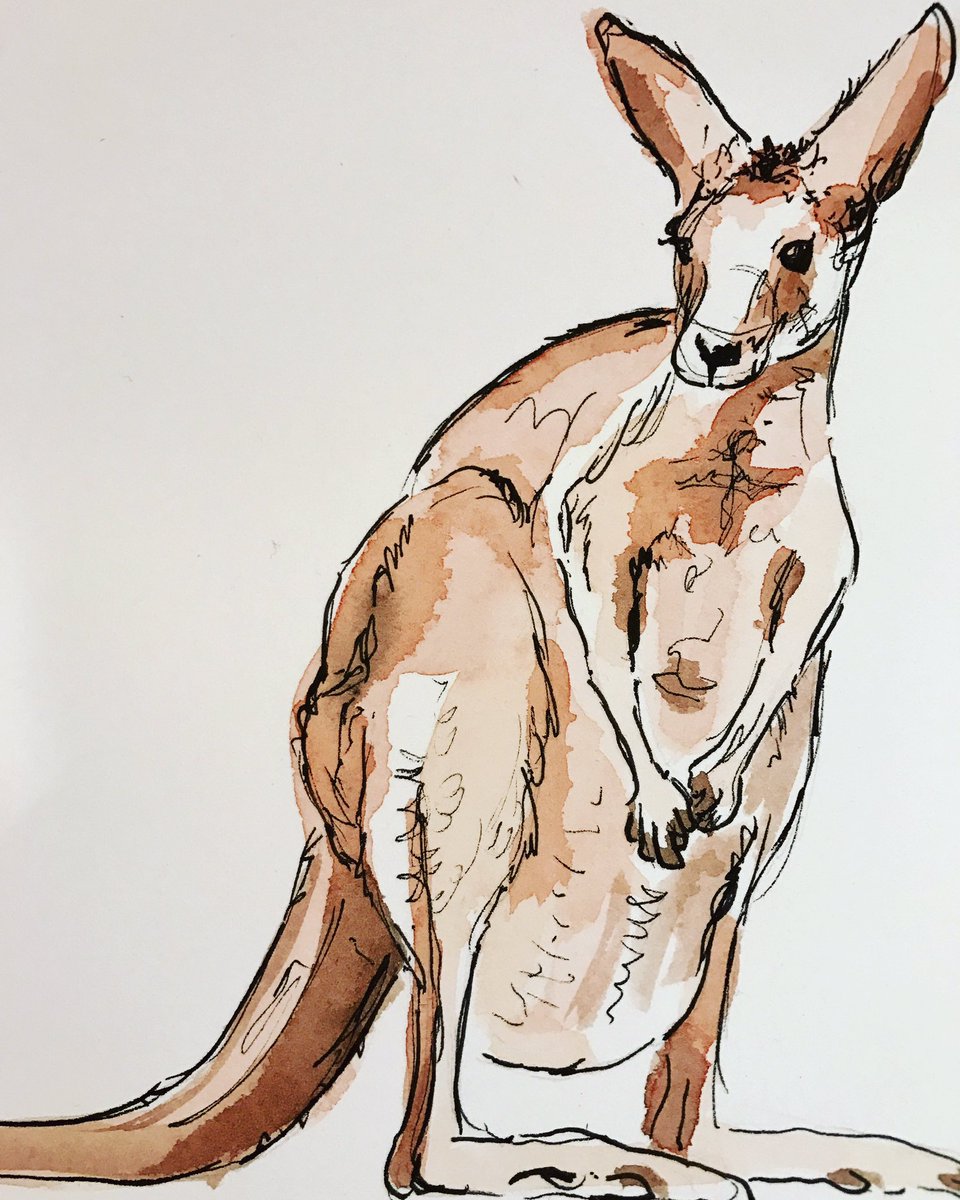 LittleRabbitArt's tweet photo. Happy #AustraliaDay ! 🐨 🇦🇺 https://t.co/N43dB3b1vY