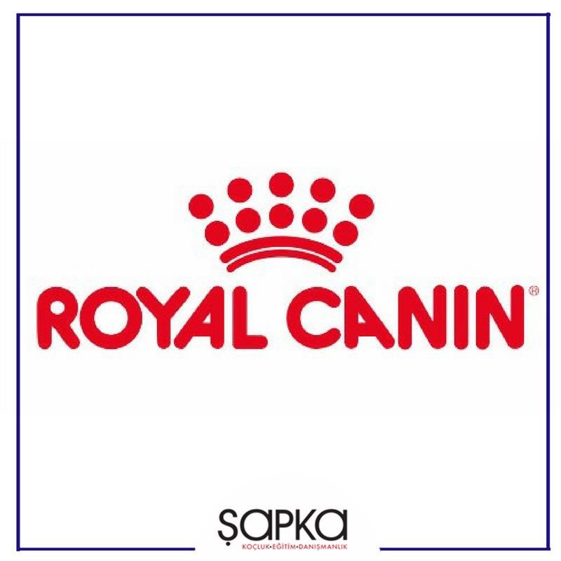 sapkaegitim's tweet photo. Şapka ailesi büyümeye devam ediyor!
@RoyalCaninTR ye Şapka’yı tercih ettiği için teşekkür ederiz. https://t.co/XW6COInCC2