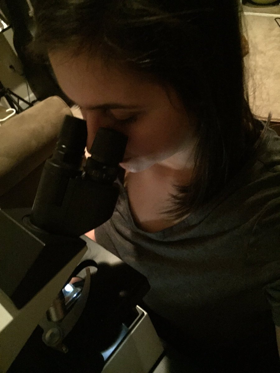 Geoduck_Pac's tweet photo. 3am bivalve larvae identification... science doesn't sleep!!!! #beckerlab https://t.co/xthpXEMfHC
