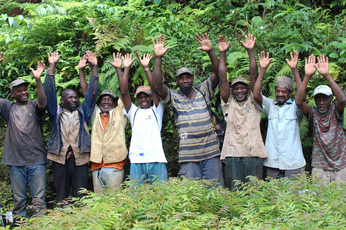DahariComores's tweet photo. Sauvons les ressources en eau et les #forêts d'#Anjouan #reboisement #Dahari #Comores #Sing4ComorosForests https://t.co/piOSGE04BA