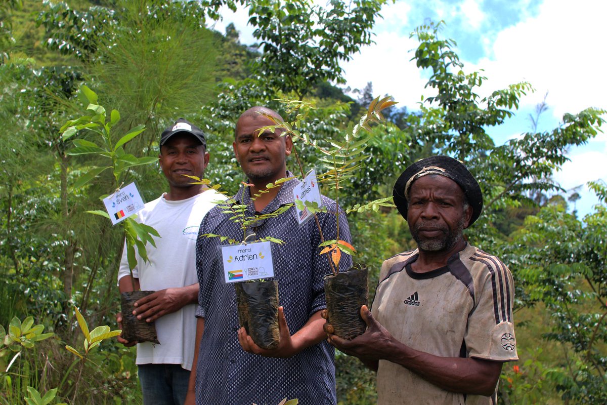 DahariComores's tweet photo. Sauvons les ressources en eau et les #forêts d'#Anjouan #reboisement #Dahari #Comores #Sing4ComorosForests https://t.co/piOSGE04BA