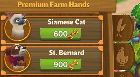nickventere's tweet photo. @farmville2 No sale in the General Store yet? #FV2CE #CountryEscape #SiameseCat #StBernard https://t.co/F9Fd3XPZSQ