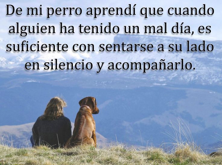DogMappGuau's tweet photo. Simplemente son maravillosos #felizJueves https://t.co/RJnka1lkqq