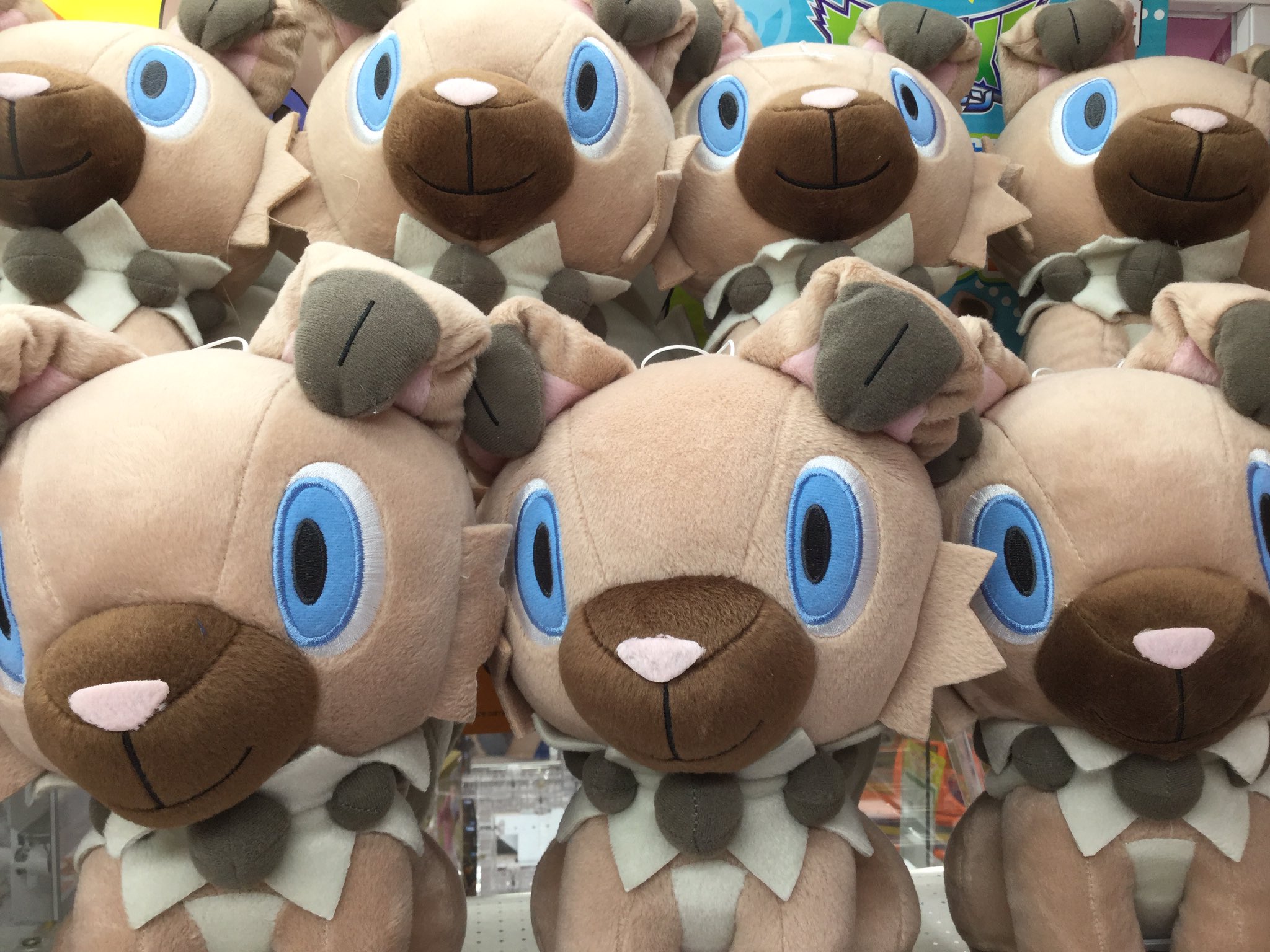 Gigo 金山 Twitterissa イワンコのでっかいぬいぐるみも入荷致しました こんなかわいいイワンコに見つめられたら 取らずにはいられない ぜひ遊びにきてください イワンコ ポケモン T Co Zl0zey4ld6 Twitter