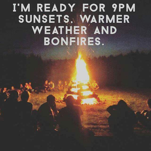 Shelly! the Pundit (@sjfalcigno) on Twitter photo 