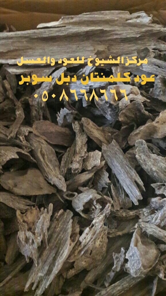 أجنحة المهد الماسي (@almahd_almasi) on Twitter photo 