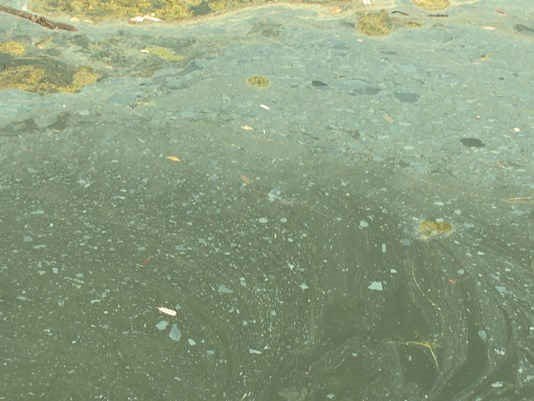 WGRZ's tweet photo. The city of #Buffalo has set aside nearly $3 mil. in order to address #pollution in the Scajaquada Creek: https://t.co/AoymxckLnm https://t.co/oTGx5BIgbP