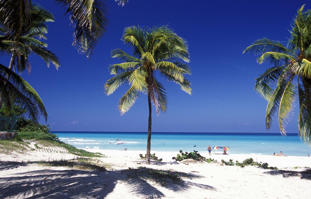 Bienvenue à #Varadero, où l'on trouve les plus belles plages de #Cuba ! okvoyage.com/2586-varadero-… 🇨🇺
<a href="/Visit_Cuba/">Visit Cuba</a>