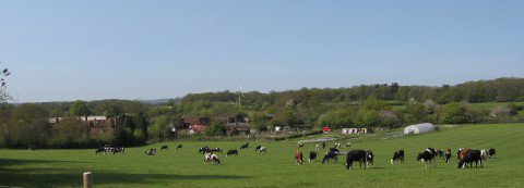 We're seeking a Farm Manager to look after our 218 ha #organic dairy farm in beautiful #Kent: ow.ly/OJkd308mHcY #farmingjobs #agjobs