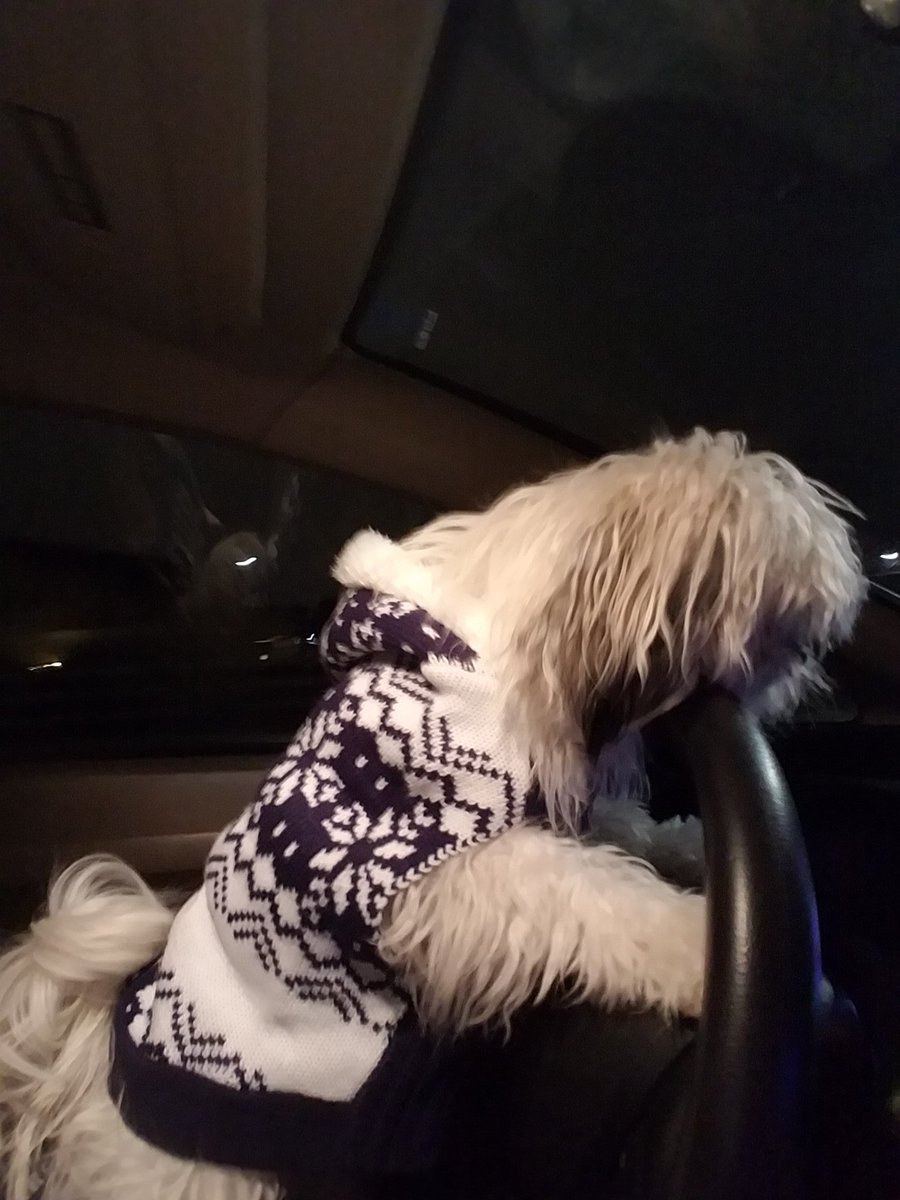taiirenee's tweet photo. When u get off work and just want to get home https://t.co/2H69QMn46l
