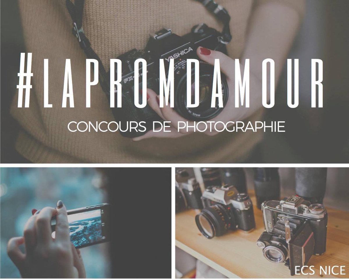 LaPromdAmour tweet media