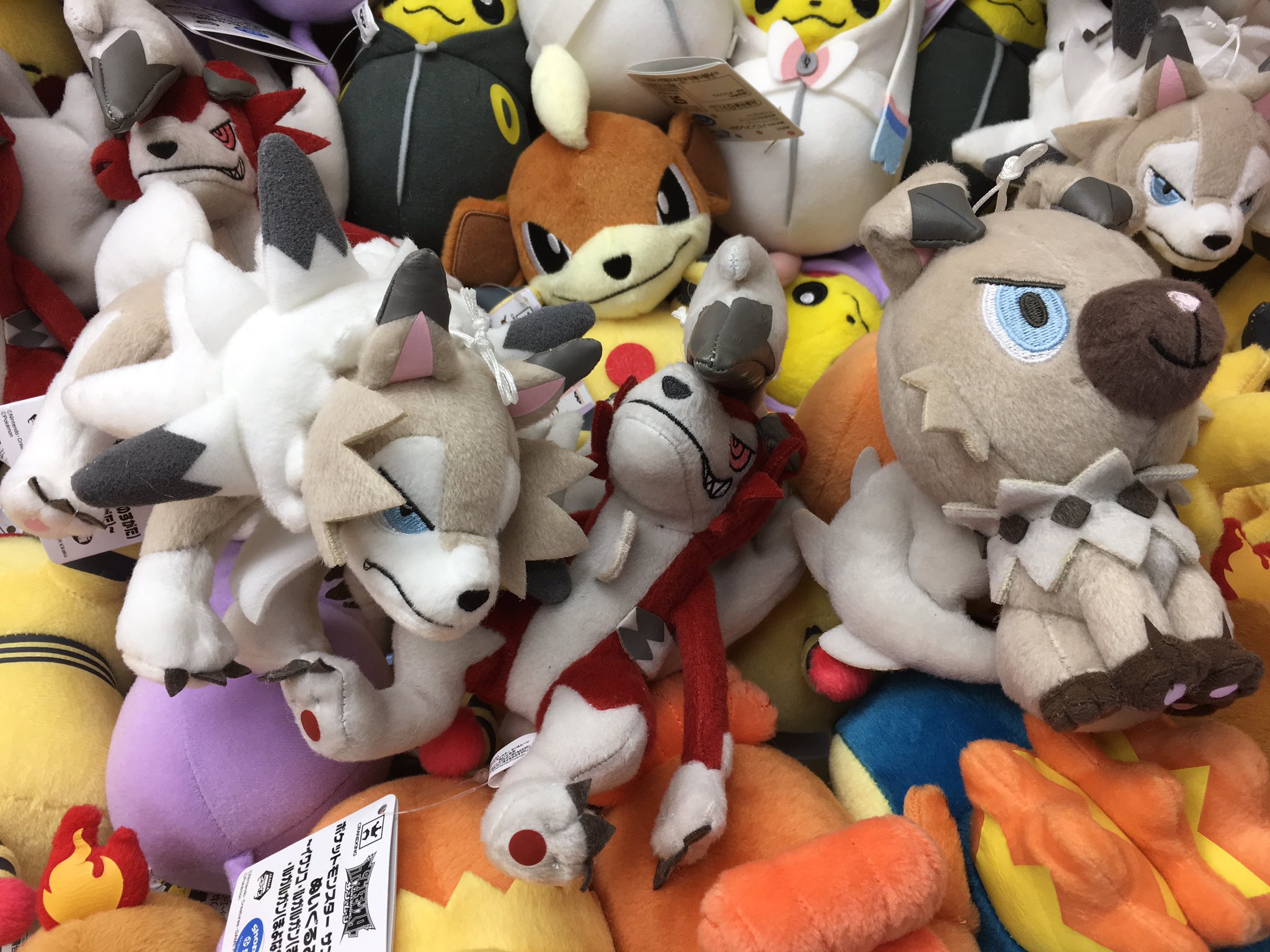 アカフーアミューズメント ジアス上大岡 En Twitter プライズ ポケットモンスター サン ムーンぬいぐるみ イワンコ ルガルガン まひるの すがた ルガルガン まよなかのすがた 入荷いたしました ポケモン新作のぬいぐるみが登場 ポケモンのぬいぐるみは他の