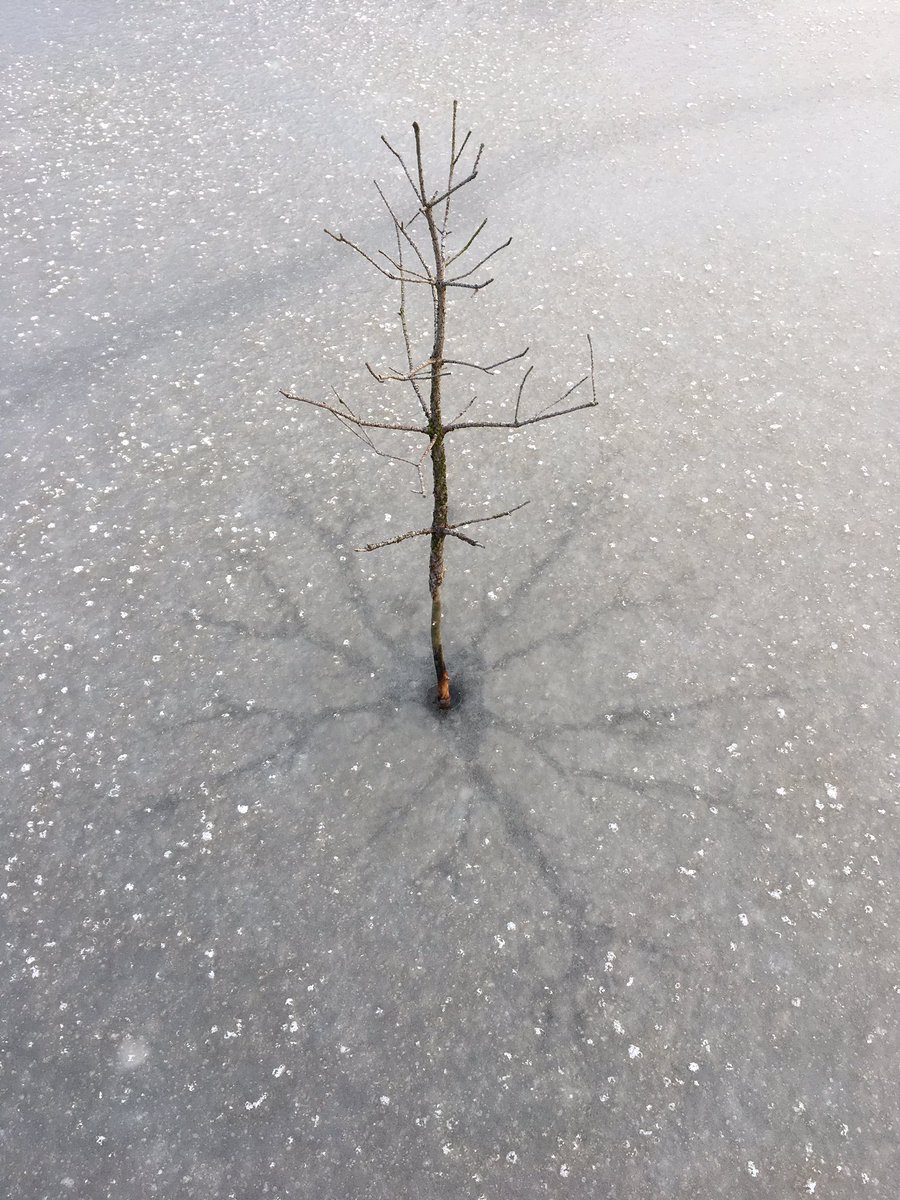 Vernat landschap in ijs gevat, hoogveenproject Lankheet #Haaksbergen