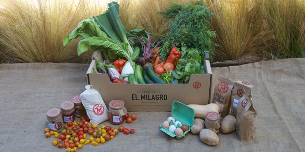 Dehesa El Milagro, productos Eco-gourmet en tu mesa
bit.ly/2j7pWMB
#dehesaelmilagro #agriculturaecologica #ecogourmet #consumolocal