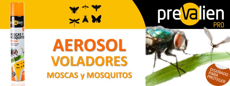 matabisprayers's tweet photo. Prueba el aerosol para moscas y mosquitos de #prevalienpro con fórmula profesional y comprueba su eficacia https://t.co/mLA3JSGVW7 https://t.co/9DRvYGDJAR