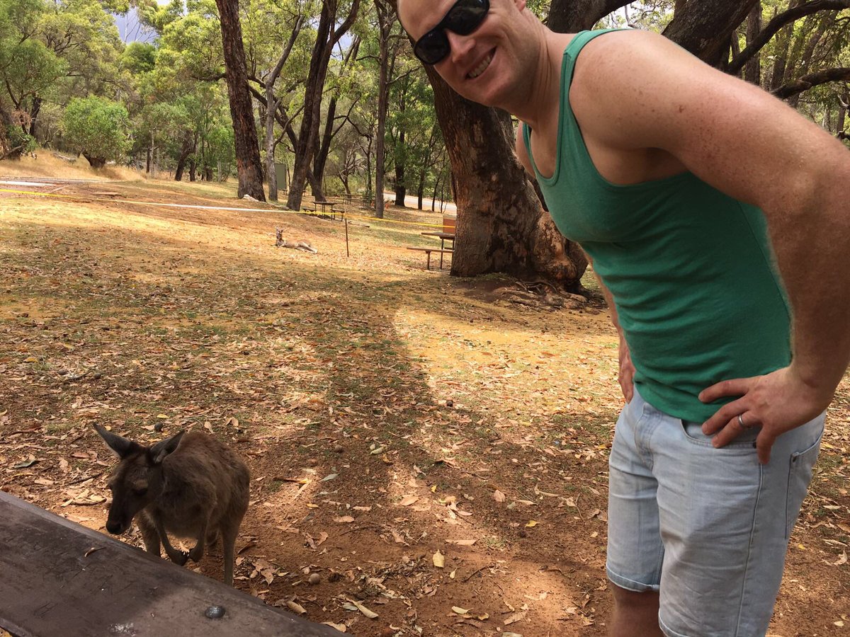 KinringLtd's tweet photo. This wild Kangaroo came over to check I had #mykinring on. Do you? #nextofkin #AustraliaDay #holidays #IdentifyYourself #ThursdayThoughts https://t.co/m3eBNwBTjW
