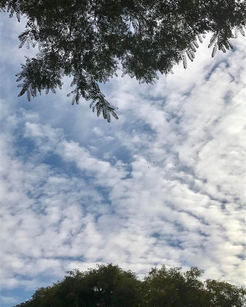 PaquiVicente's tweet photo. El cielo está "emborregado"... como más de uno 😂 #FelizJueves a todos 😘 https://t.co/mwW8YJCE0z