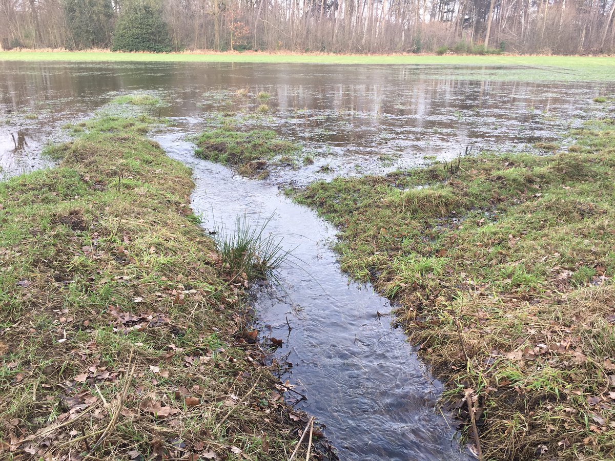 Vlak voor de inval vorst, afvoer vloeiweide op Lankheet #Haaksbergen